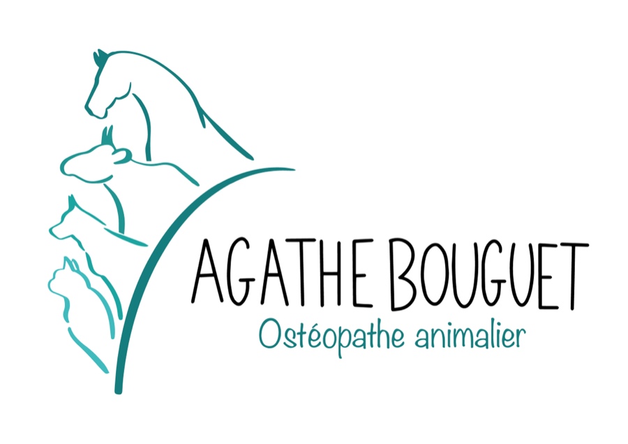 Logo Agathe Bouguet, Ostéopathe animalier